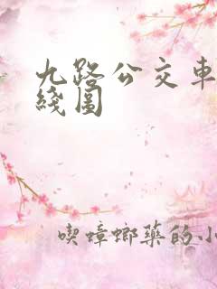 九路公交车的路线图