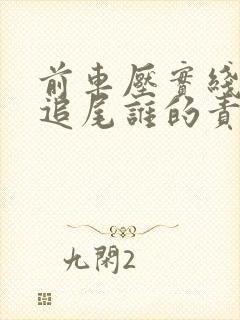 前车压实线后车追尾谁的责任