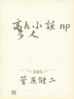 高h小说 np 多人