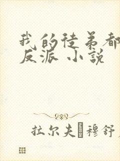 我的徒弟都是大反派 小说
