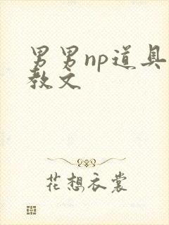 男男np道具调教文
