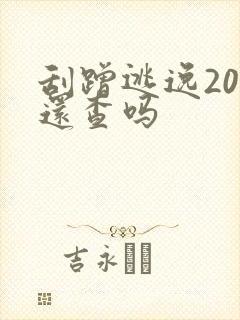 刮蹭逃逸20天还查吗