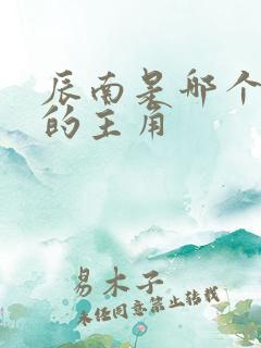辰南是哪个小说的主角