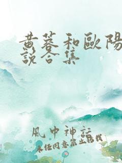 黄蓉和欧阳锋小说合集