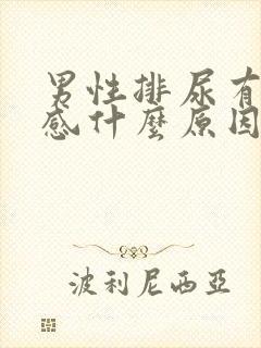 男性排尿有刺痛感什么原因