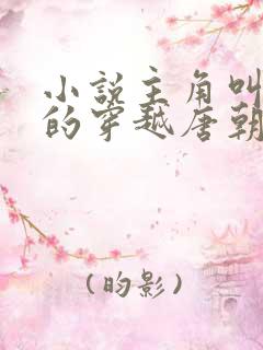 小说主角叫李辰的穿越唐朝小说