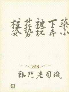 校花被下药各种姿势玩弄小说