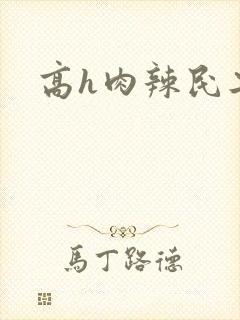 高h肉辣民工文