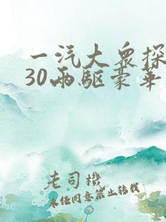 一汽大众探岳330两驱豪华