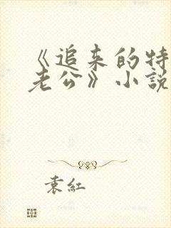 《追来的特种兵老公》小说