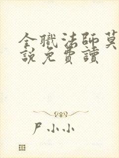 全职法师莫凡小说免费读
