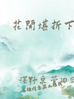 花开堪折下载