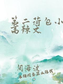 第二荷包小说网高辣文