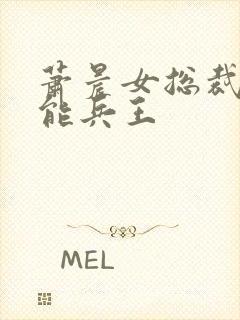 萧晨女总裁的全能兵王