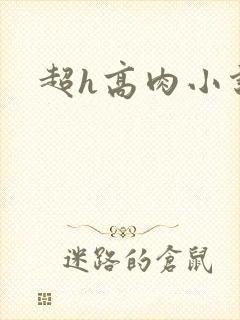 超h高肉小说
