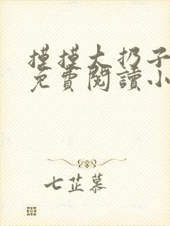 摸摸大扔子小说免费阅读小说