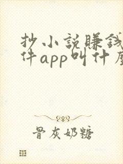 抄小说赚钱的软件app叫什么
