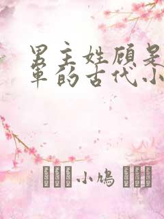 男主姓顾是个将军的古代小说