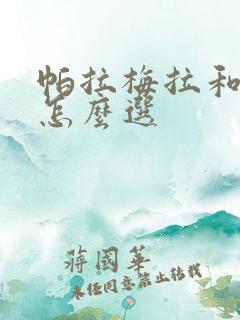 帕拉梅拉和卡宴怎么选