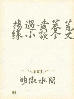 杨过黄蓉荒岛情缘小说全文在线阅读