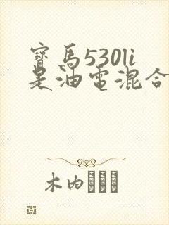宝马530li是油电混合吗