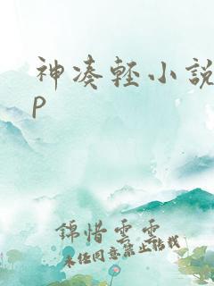 神凑轻小说app