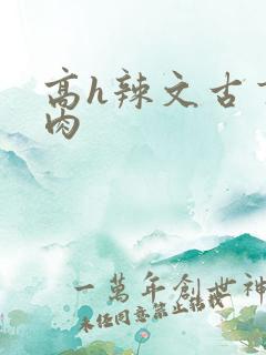 高h辣文古言纯肉
