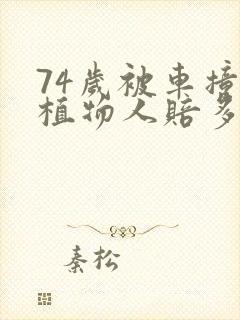 74岁被车撞成植物人赔多少钱