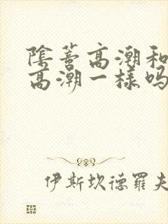 阴蒂高潮和阴道高潮一样吗?