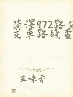 菏泽972路公交车路线查询