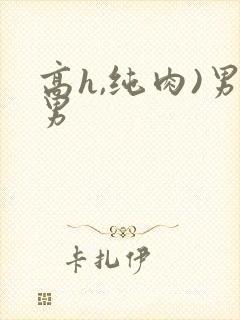 高h,纯肉)男男