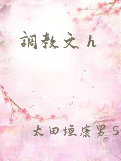 调教文 h