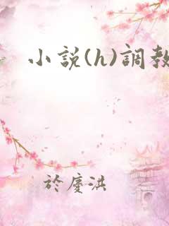 小说(h)调教