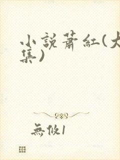小说萧红(大全集)