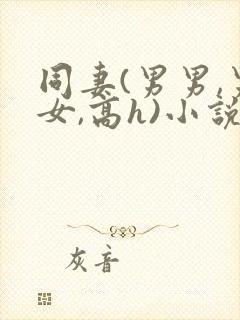 同妻(男男,男女,高h)小说