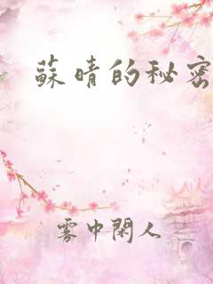 苏晴的秘密小说