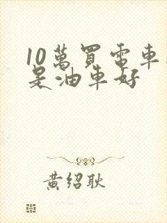 10万买电车还是油车好