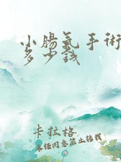 小肠气手术需要多少钱 小肠气手术需要多少钱