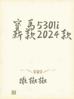 宝马530li新款2024款落地价