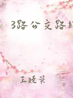3路公交路线