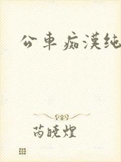 公车痴汉纯h