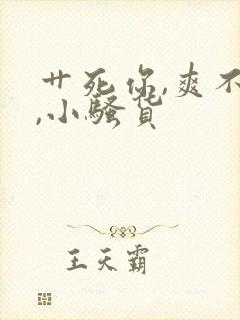 艹死你,爽不爽,小骚货