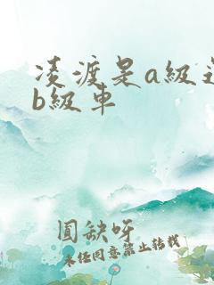 凌渡是a级还是b级车