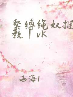 紧缚绳奴捆绑调教丨vk