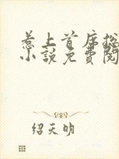 惹上首席总裁2小说免费阅读全文