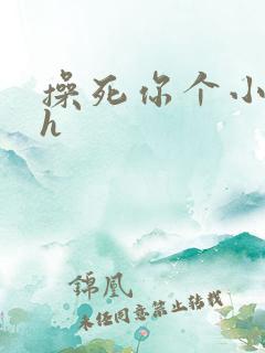 操死你个小骚货h
