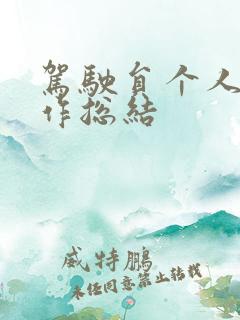 驾驶员个人的工作总结