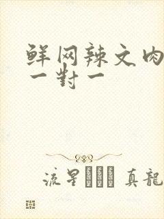 鲜网辣文肉高h一对一