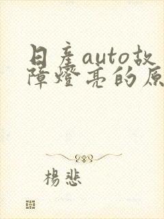 日产auto故障灯亮的原因