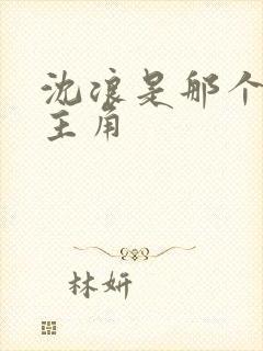 沈浪是那个小说主角